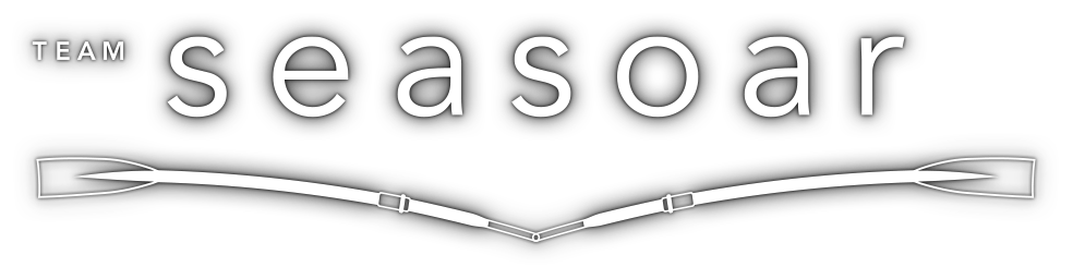 Team Seasoar logo